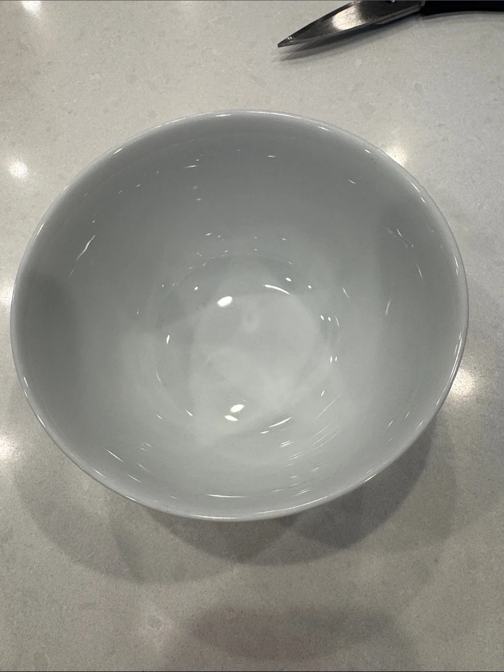 Pottery Barn Great White Traditional Ceramic Bowl - White